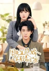 周先生隐婚关系请保密封面图