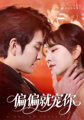 偏偏就宠你封面图