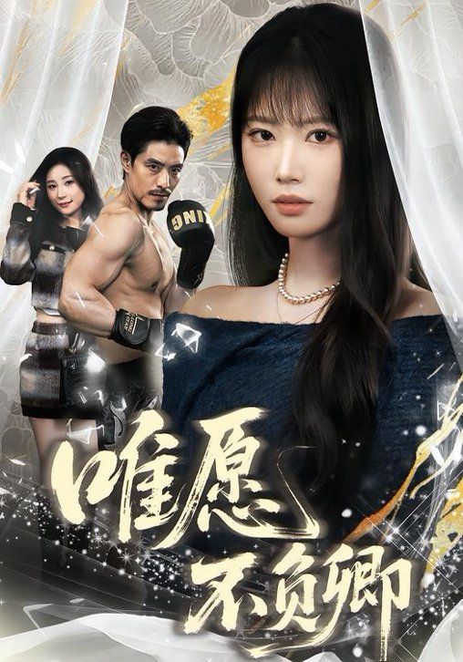 唯愿不负卿封面图