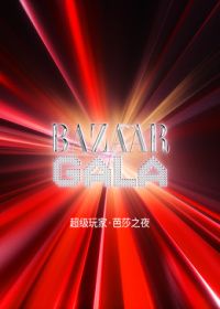 超级玩家芭莎之夜