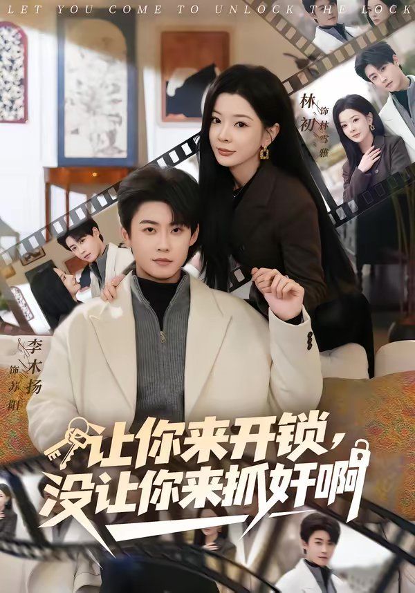 让你来开锁，没让你来抓奸啊海报