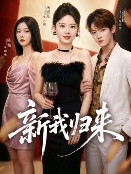 新我归来海报