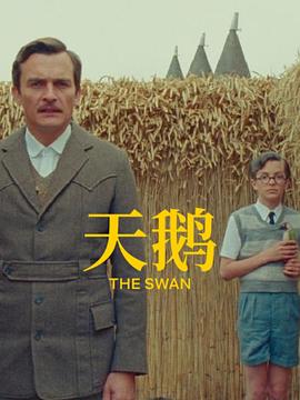天鹅/The Swan
