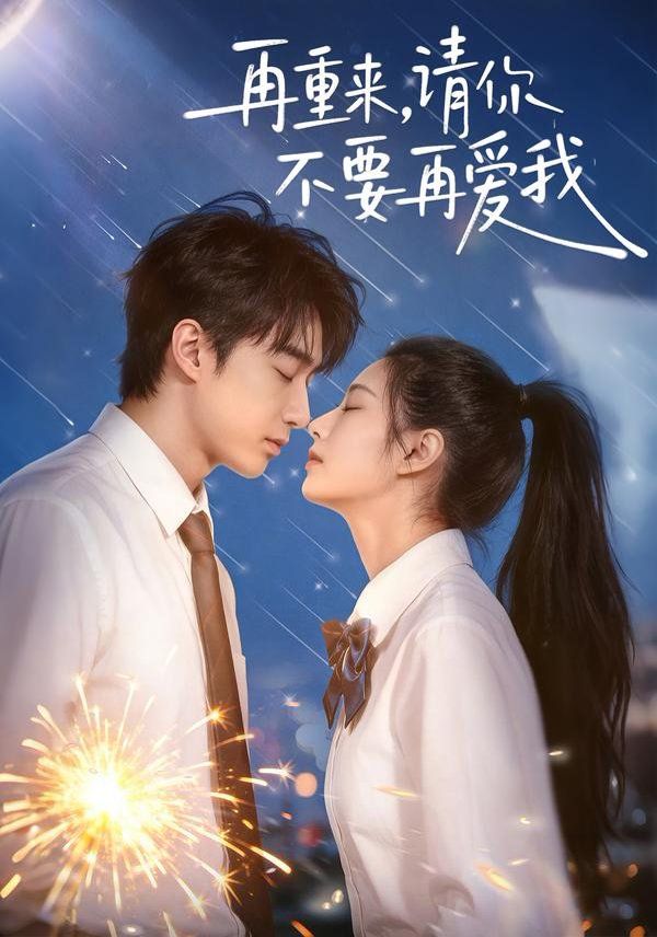再重来请你不要再爱我封面图