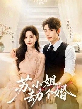 苏小姐劫个婚封面图片