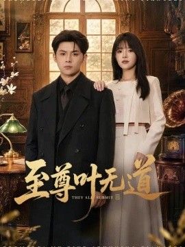 至尊叶无道封面图