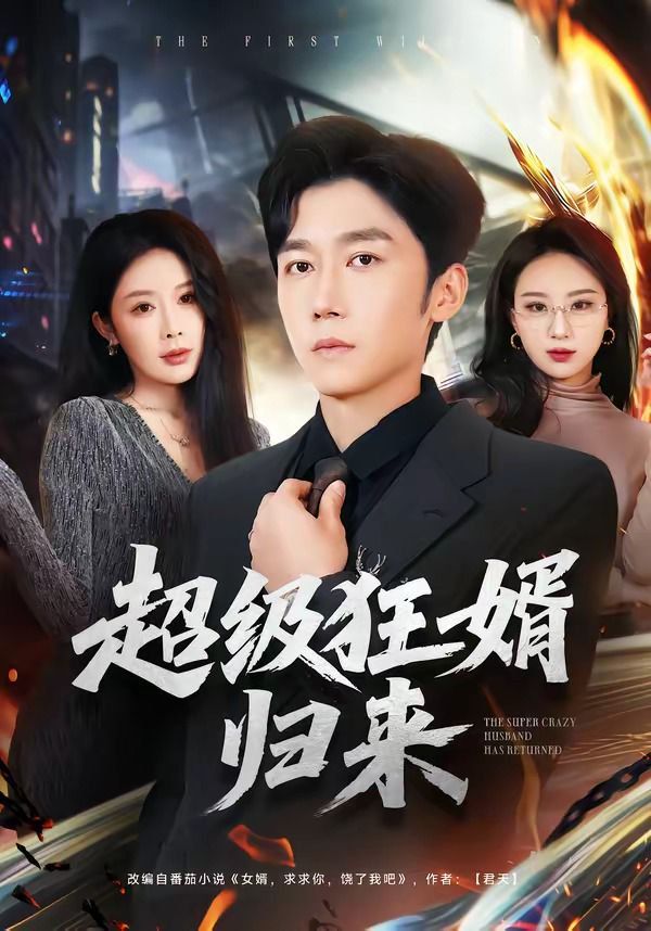 超级狂婿归来海报