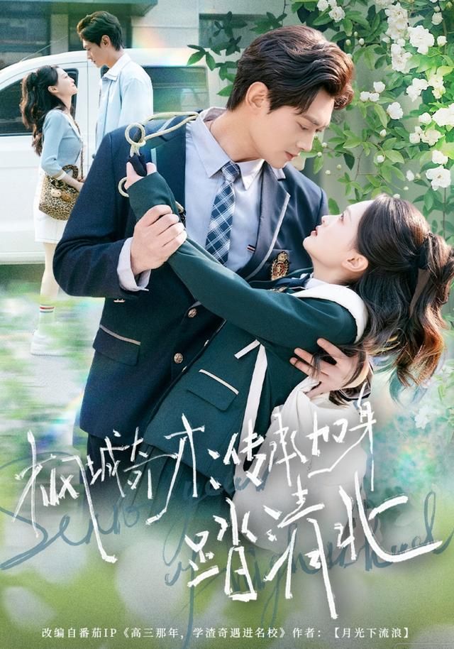 枫城奇才:传承加身踏清北封面图