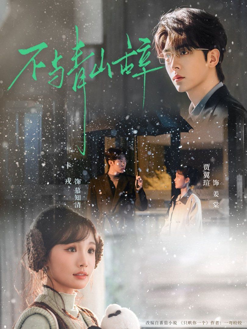 不与青山辞封面图