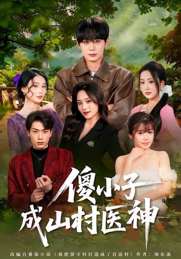 傻小子成山村医神海报