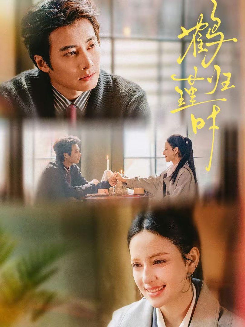 鹤归瑾时封面图