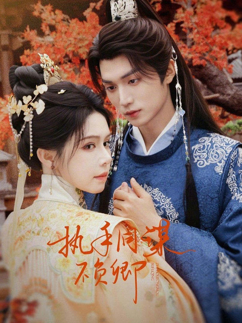 执手同谋不负卿海报