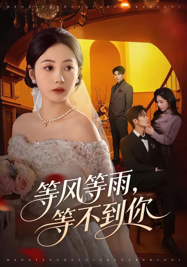 等风等雨，等不到你海报