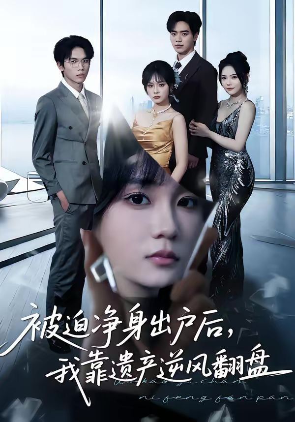 被迫净身出户后，我靠遗产逆风翻盘海报
