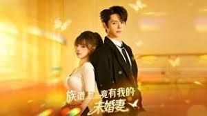 族谱上竟有我的未婚妻封面图