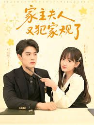 家主夫人又犯家规了封面图