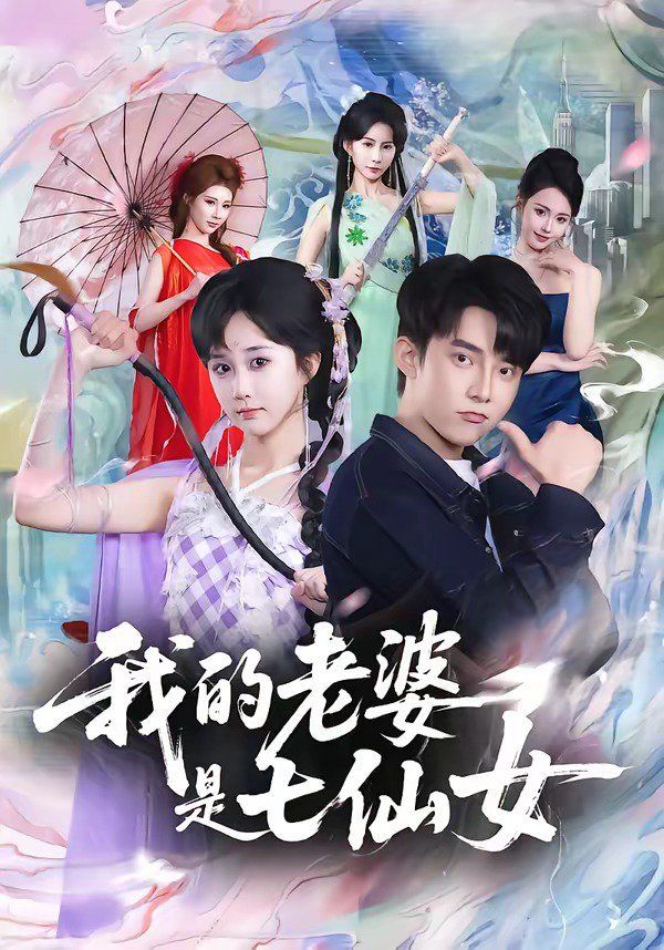 我的老婆是七仙女海报