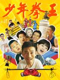 少年拳王高清海报