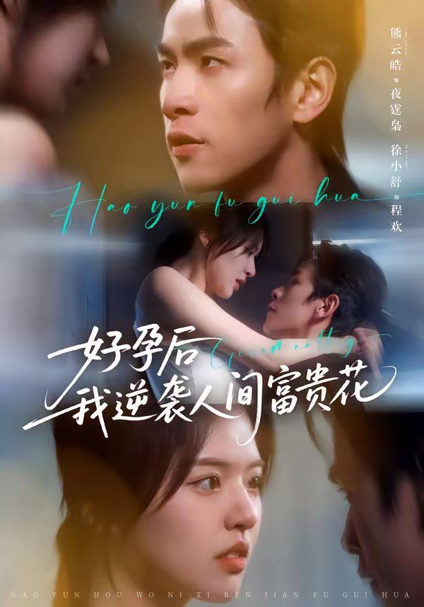 好孕后我逆袭人间富贵花（夜先生的小欢喜）海报