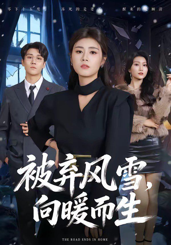 被弃风雪，向暖而生海报
