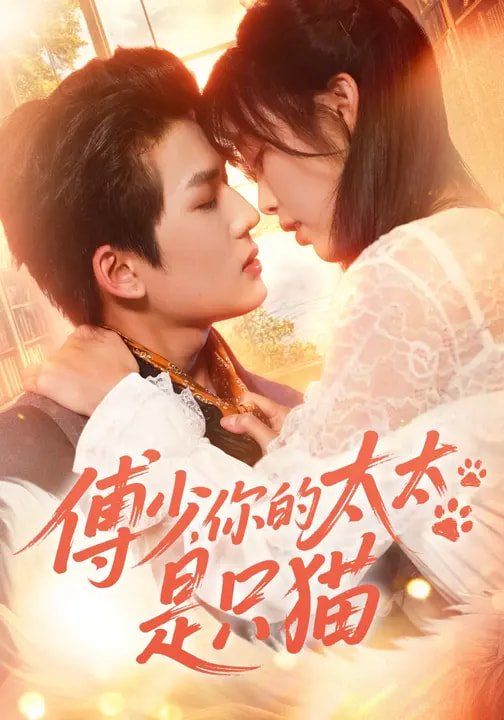 傅少你的太太是只猫封面图
