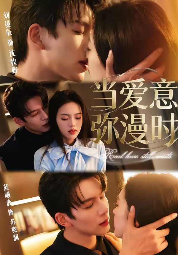 当爱意弥漫时封面图