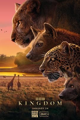 动物王国版封面图