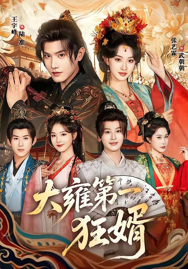 大雍第一狂婿海报
