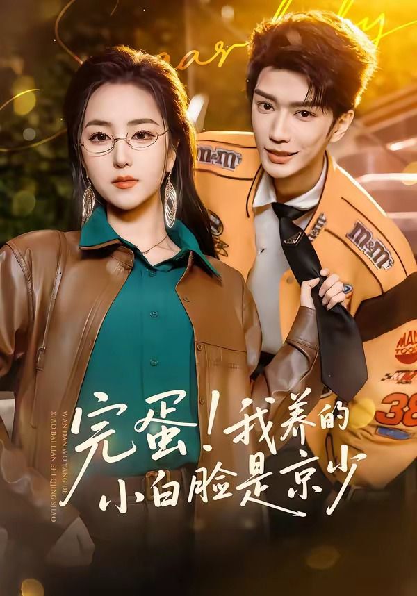 完蛋！我养的小白脸是京少海报