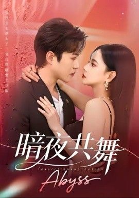 暗夜共舞封面图