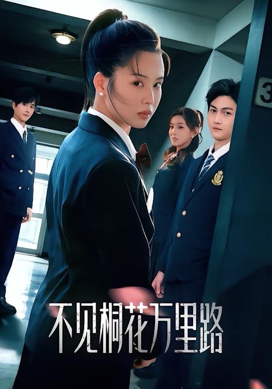 不见桐花万里路封面图