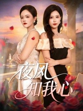 夜风知我心封面图