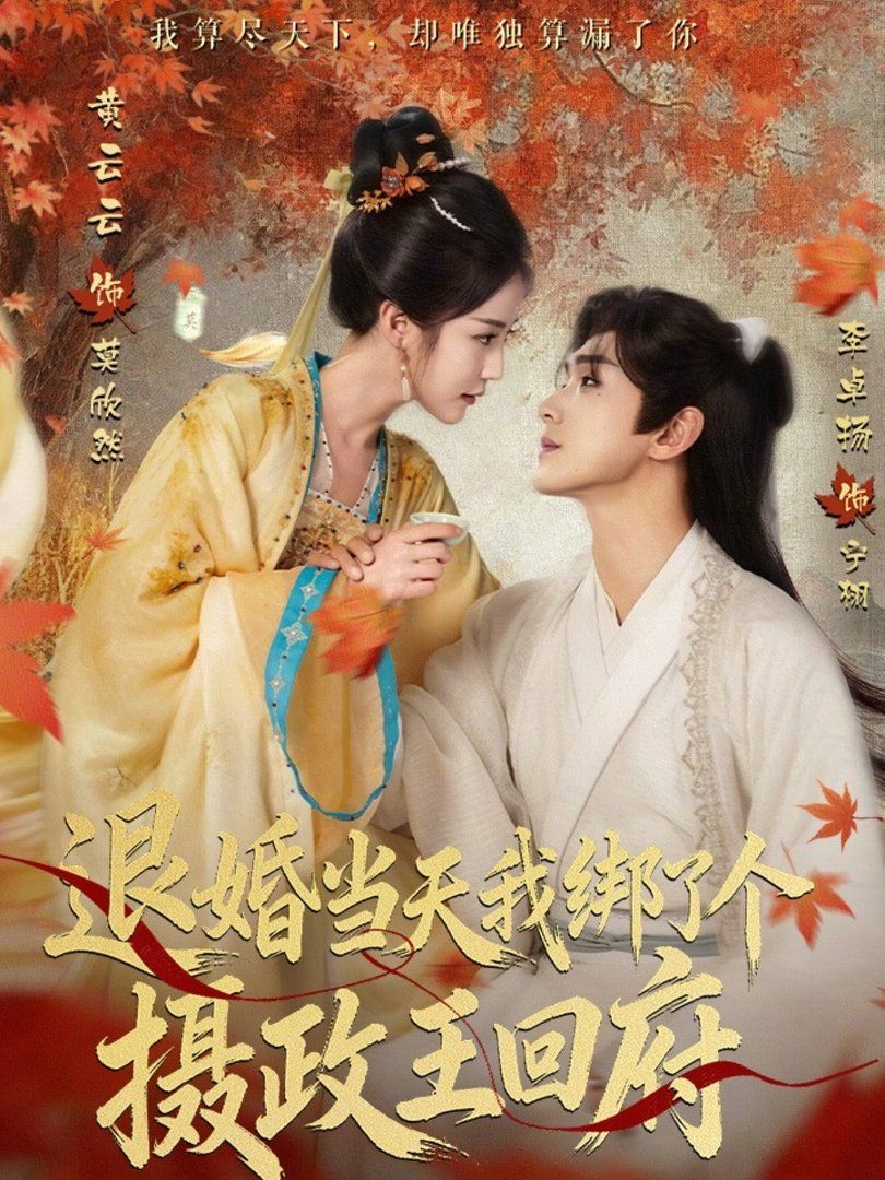 退婚当天我绑了个摄政王回府海报