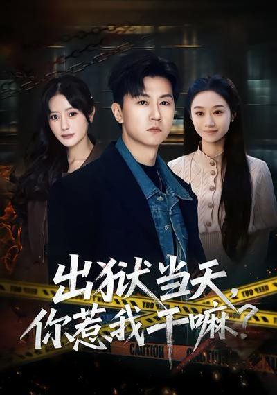 出狱当天，你惹我干嘛？海报