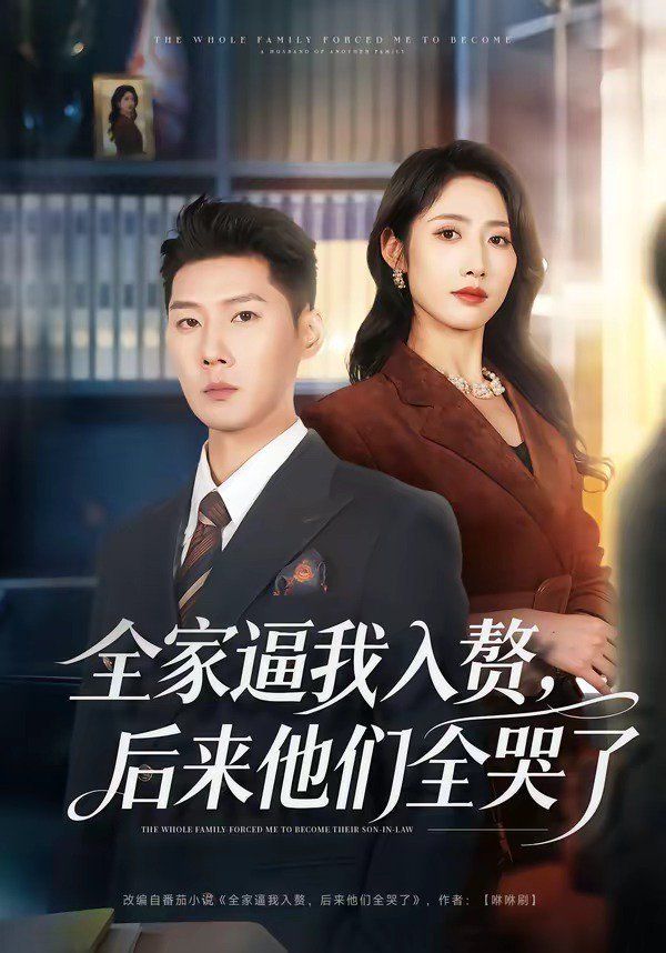 全家逼我入赘，后来他们全哭了海报