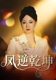 凤逆乾坤封面图