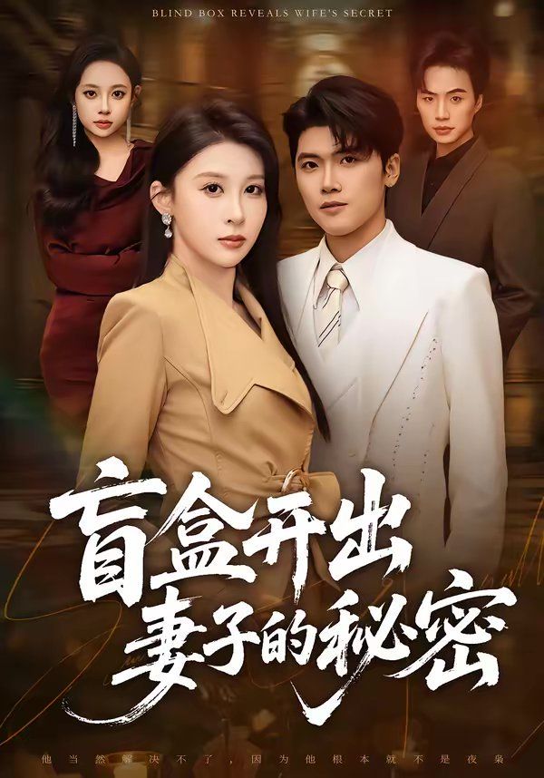盲盒开出妻子的秘密封面图