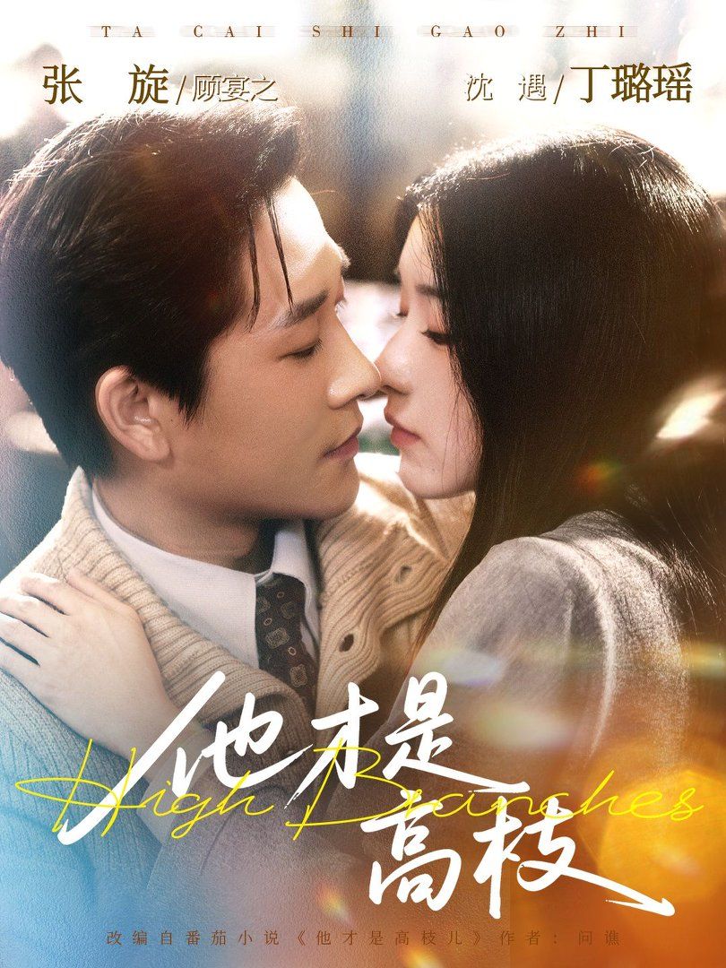他才是高枝封面图