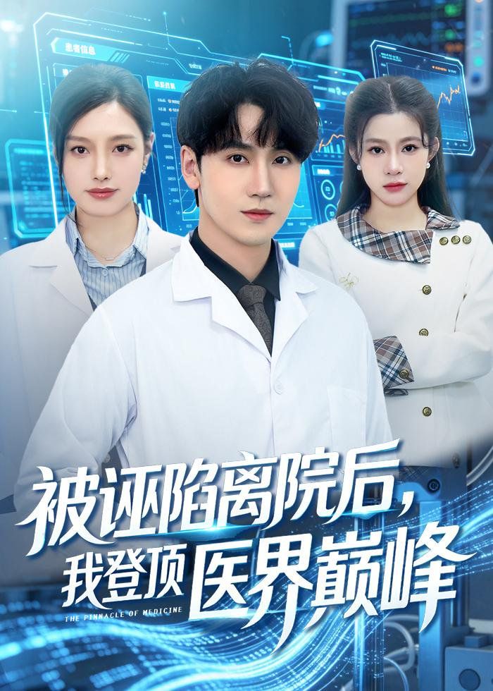 被诬陷离院后，我登顶医界巅峰封面图