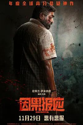 因果报应（2024）海报