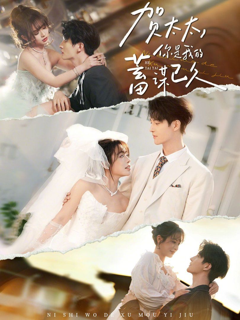 贺太太，你是我的蓄谋已久海报