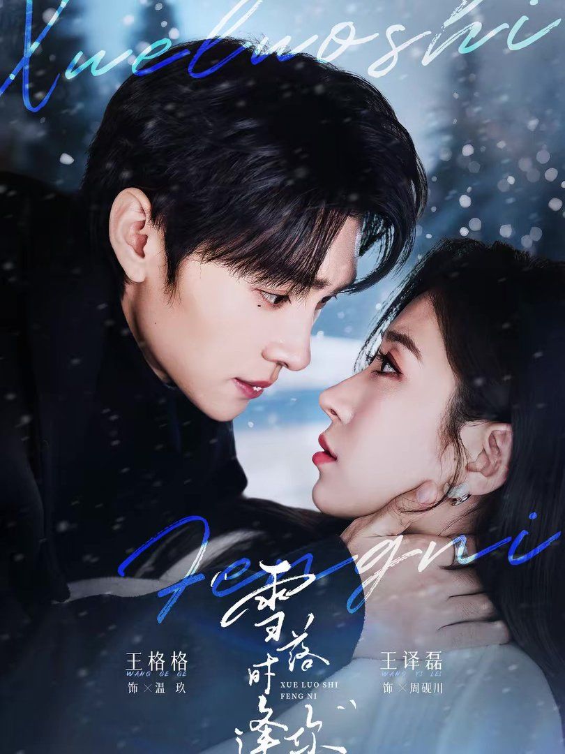 雪落时逢你封面图