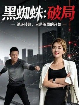 黑蜘蛛：破局