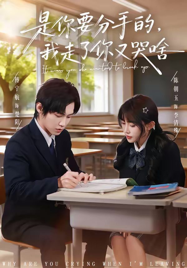 是你要分手的我走了你又哭啥封面图