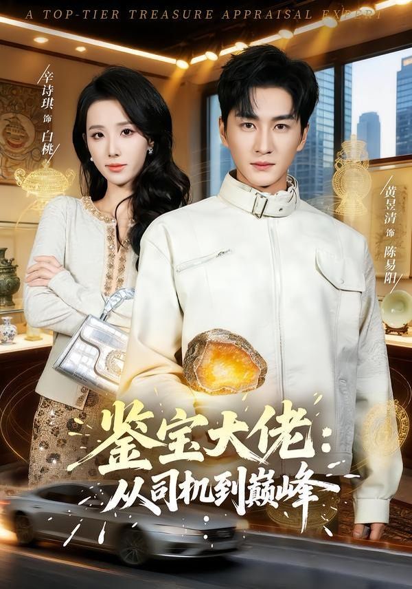 鉴宝大佬： 从司机到巅峰海报