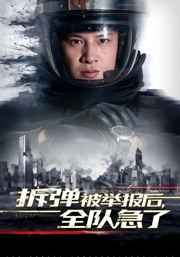 拆弹被举报后，全队急了海报