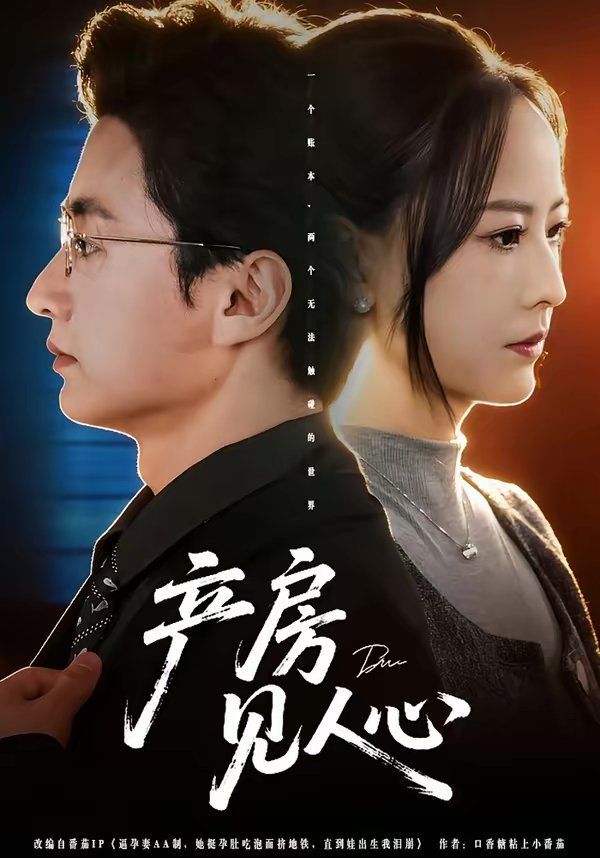 产房见人心海报