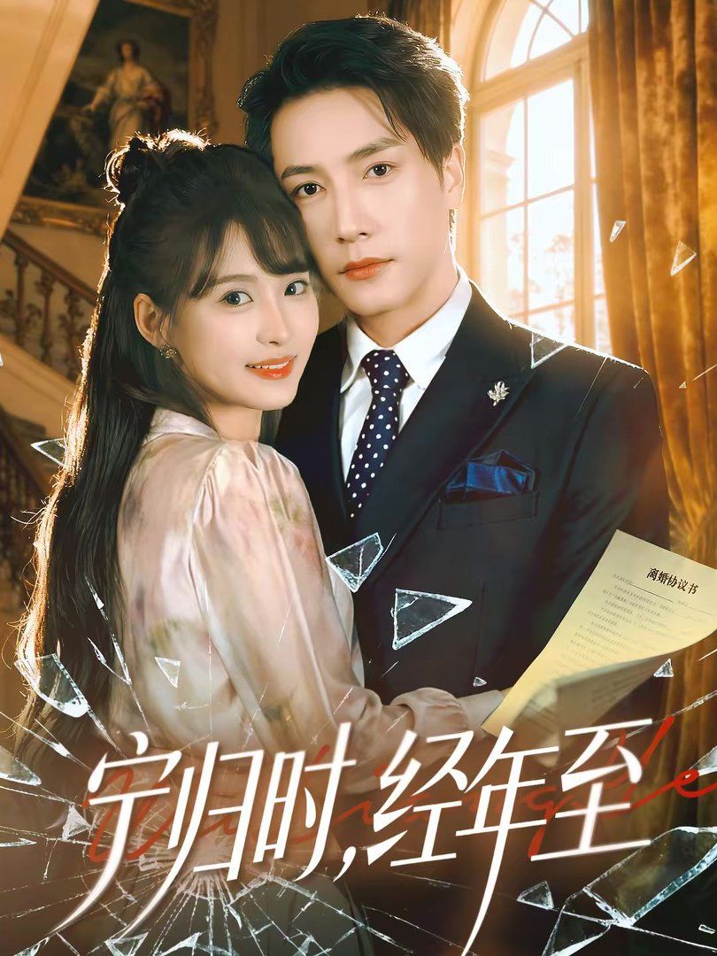 宁归时经年至封面图