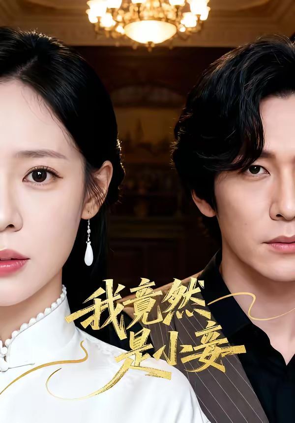 我竟然是小妾海报