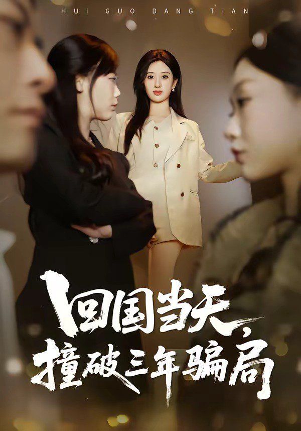 回国当天，撞破三年骗局海报